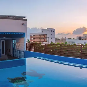 book here