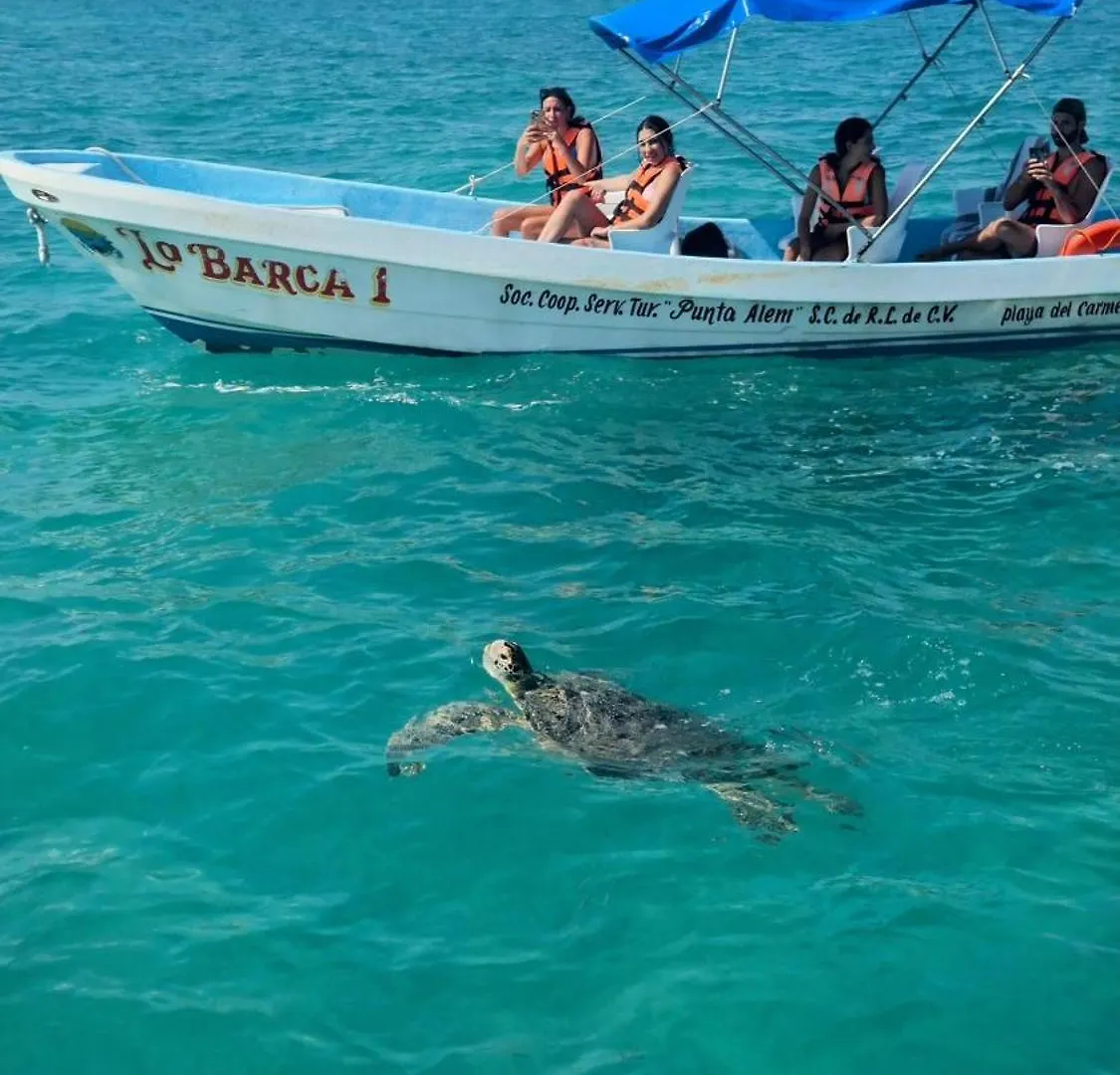 Hotel Cielo Y Selva Punta Allen