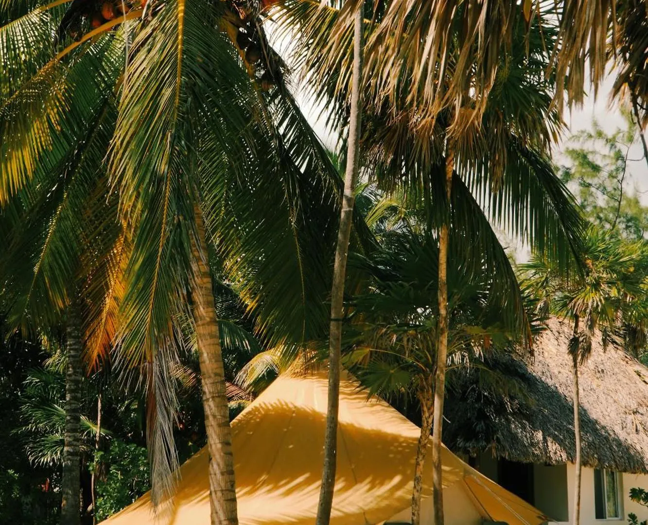 Hotel Cielo Y Selva Punta Allen Mexico