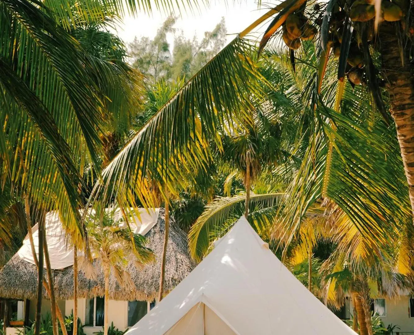 Hotel Cielo Y Selva Punta Allen 0*,