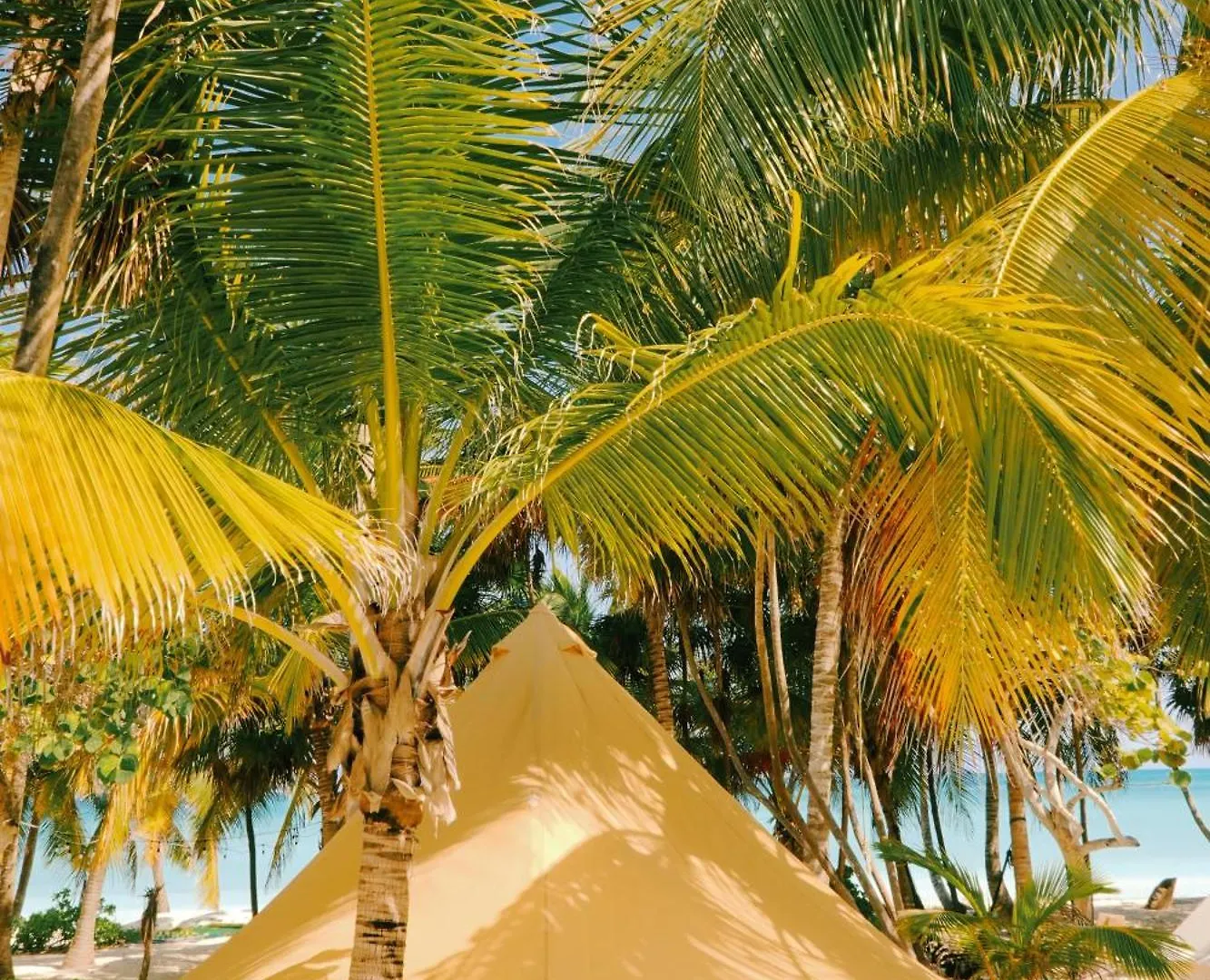Hotel Cielo Y Selva Punta Allen Lodge