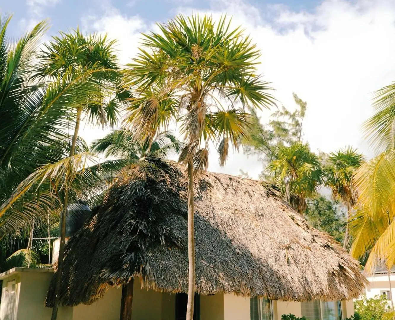 Lodge Hotel Cielo Y Selva Punta Allen