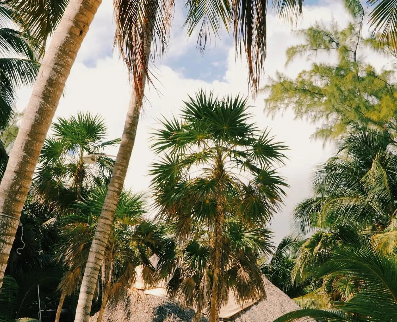 Hotel Cielo Y Selva Punta Allen 0*,