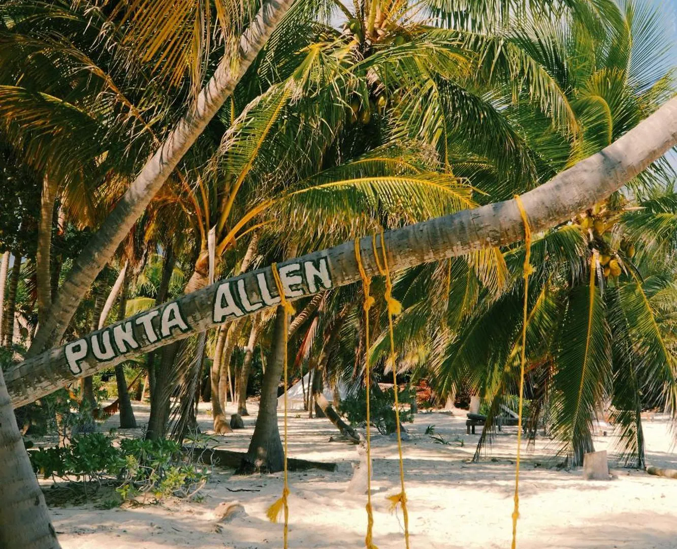 Hotel Cielo Y Selva Punta Allen Lodge