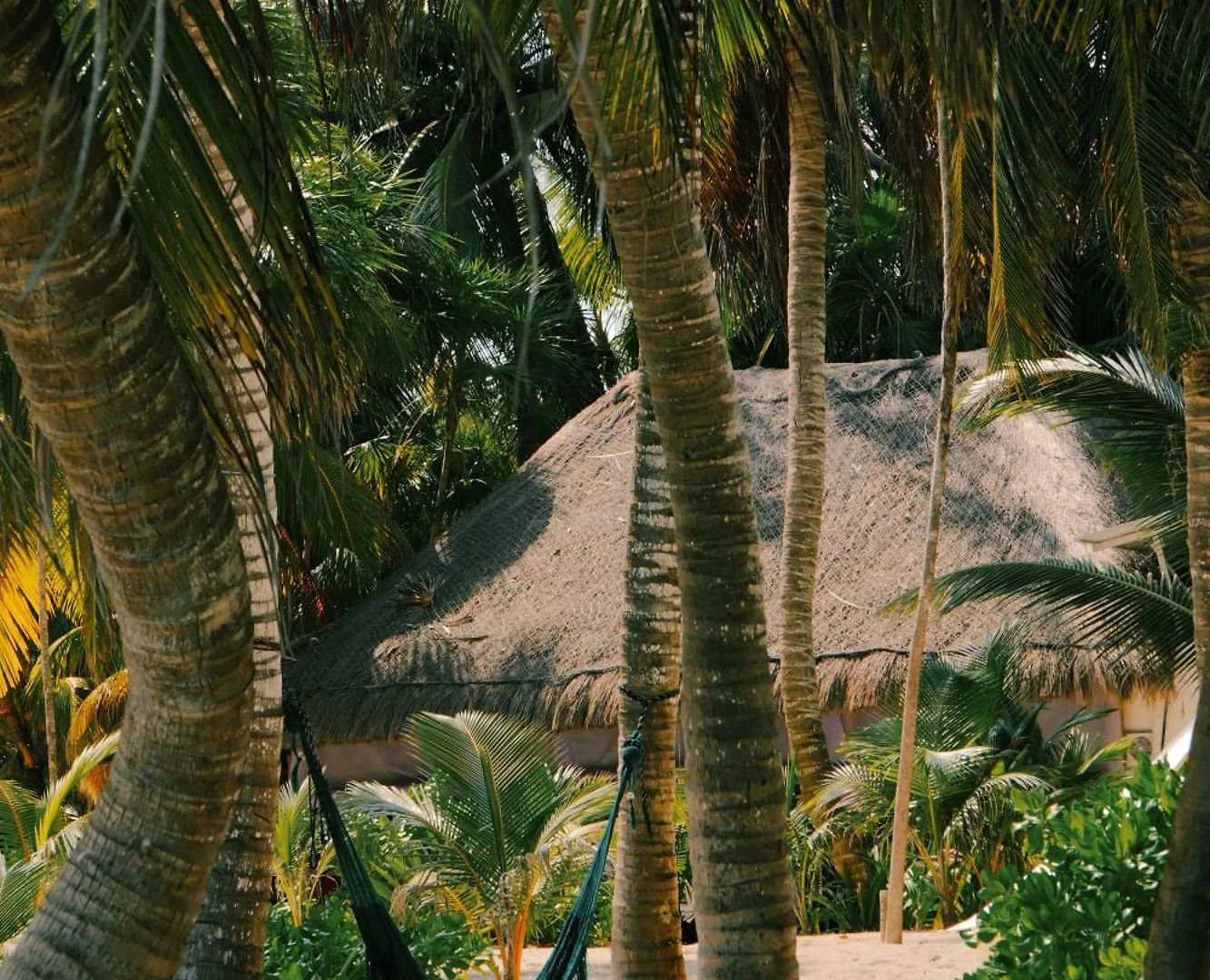 Hotel Cielo Y Selva Punta Allen